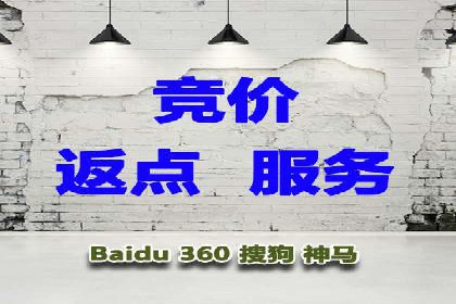 竞价推广策略：某电商平台的成功之路